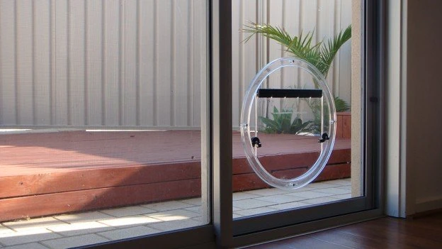 Glass Pet Doors